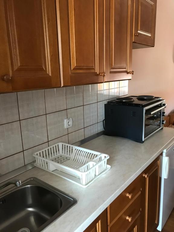 a kitchen counter with a sink and a microwave at Vila de lux in Bela Crkva