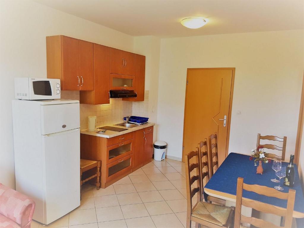 Kuchyň nebo kuchyňský kout v ubytování Apartments Vrtlici