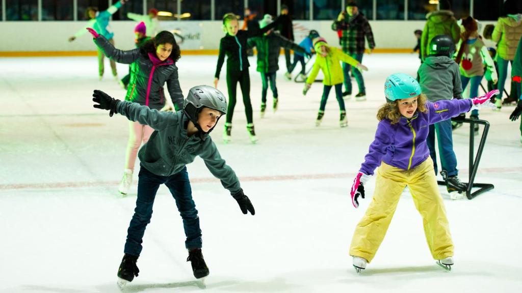 Majutusasutuse Palladium de Champéry külastajad