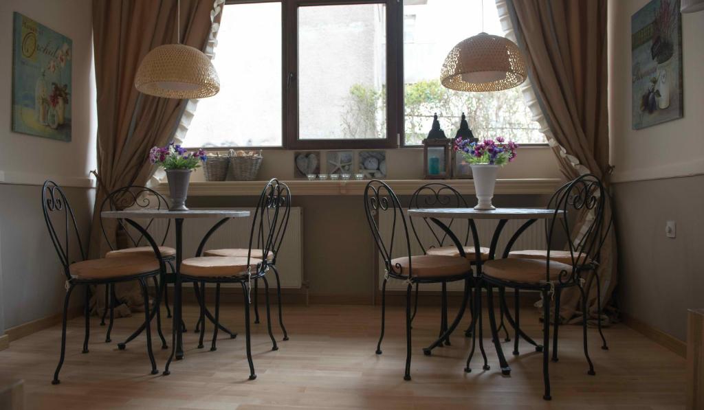 Nápoje v ubytování Boutique Vila Paradis