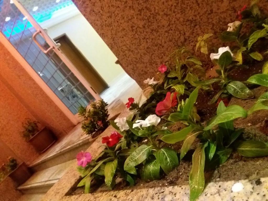 Une bande de fleurs assise devant un bâtiment dans l'établissement Khobar Fantastic Furnished Apartments, à Khobar