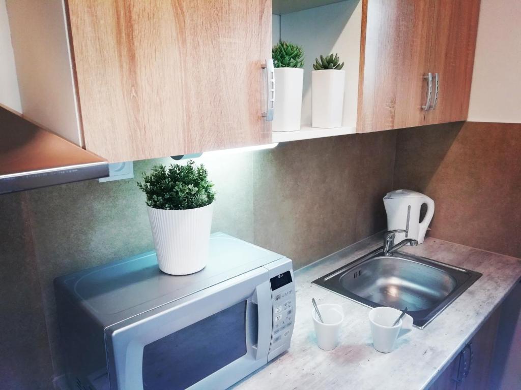Apartmány U Stříbrných - 7