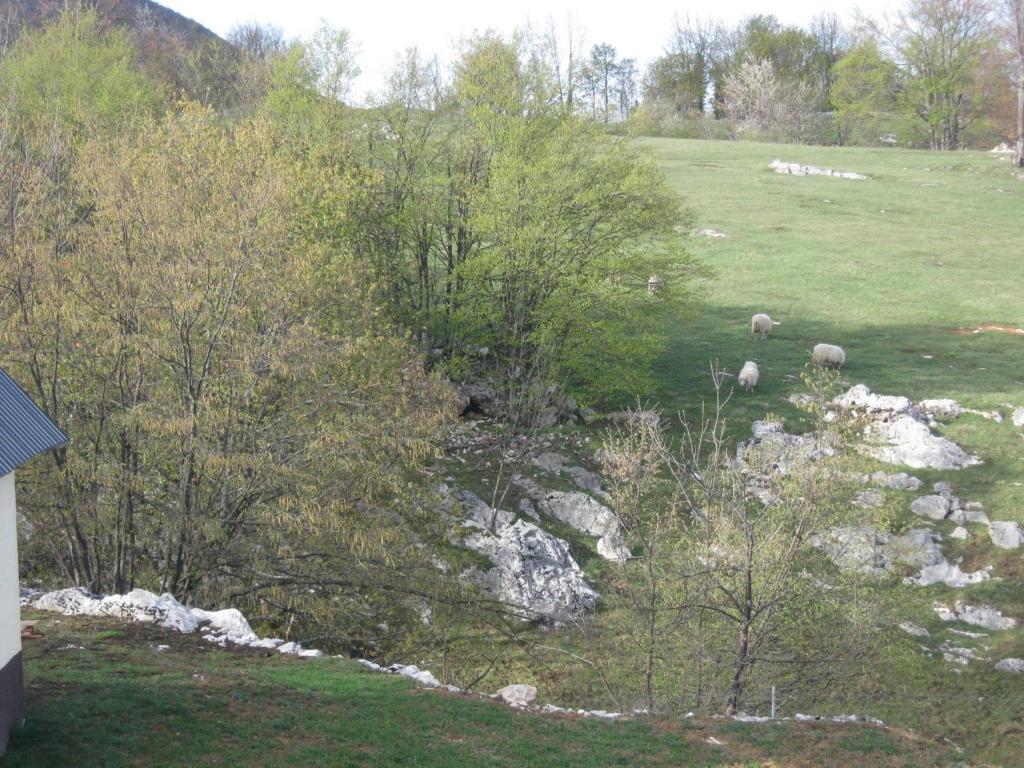 Apartments Sven - 10