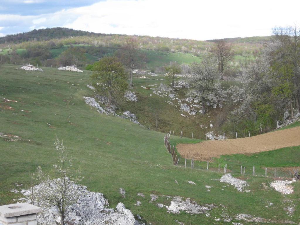 Apartments Sven - 12