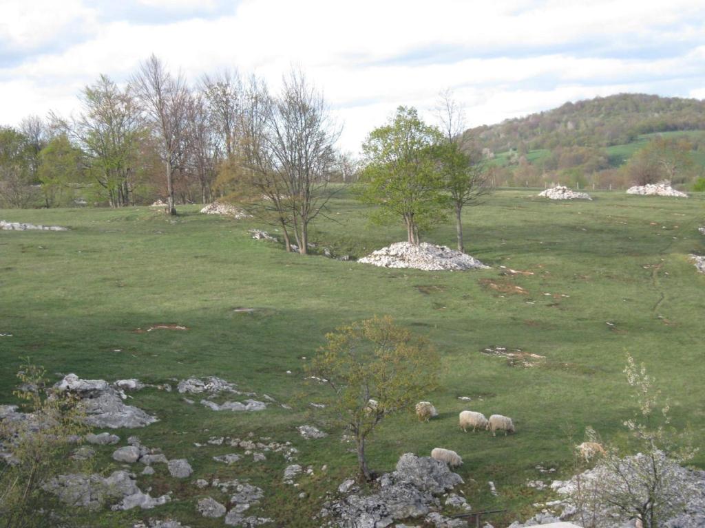 Apartments Sven - 11