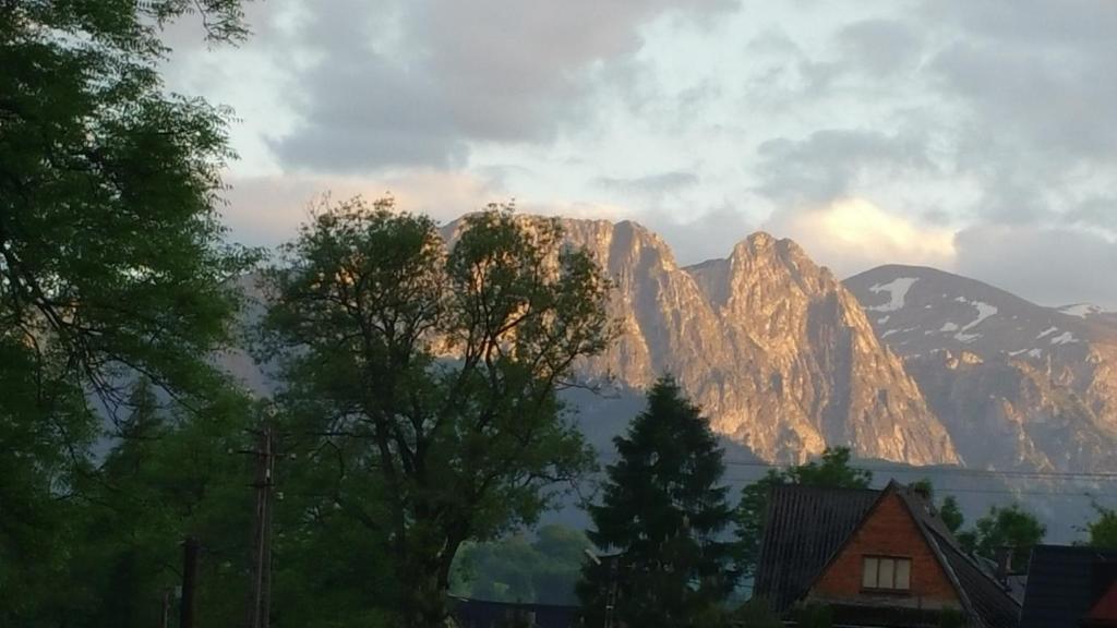 Príroda v okolí privátu