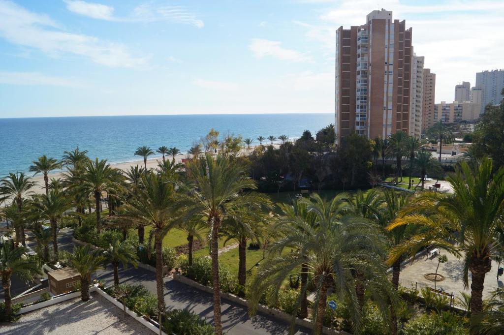 エル・カンページョにあるbarbara 20 playa muchavista alicanteのヤシの木と高い建物のあるビーチの景色を望めます。