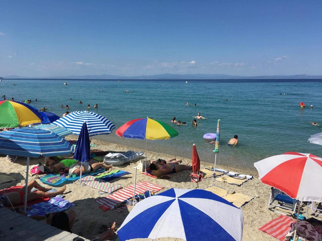 Príroda v okolí apartmánu
