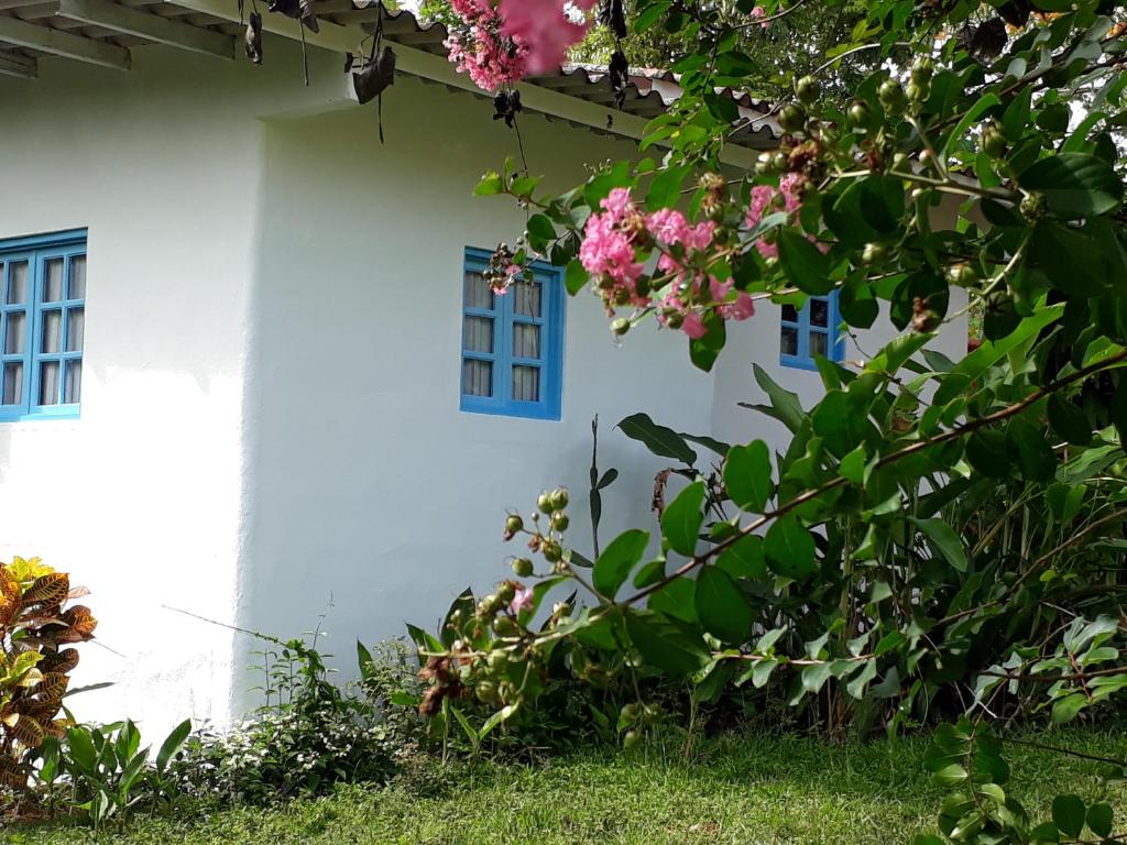 Zahrada ubytování Casa Maya