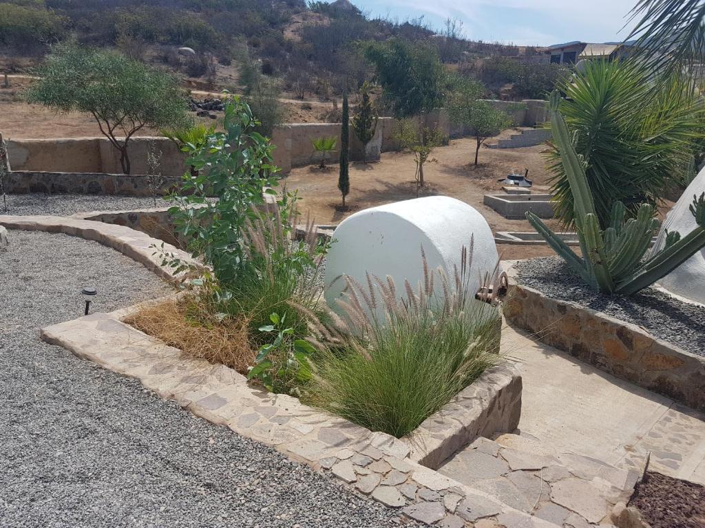 Fotografie z fotogalerie ubytování Hacienda Eco-Domes v destinaci Valle de Guadalupe