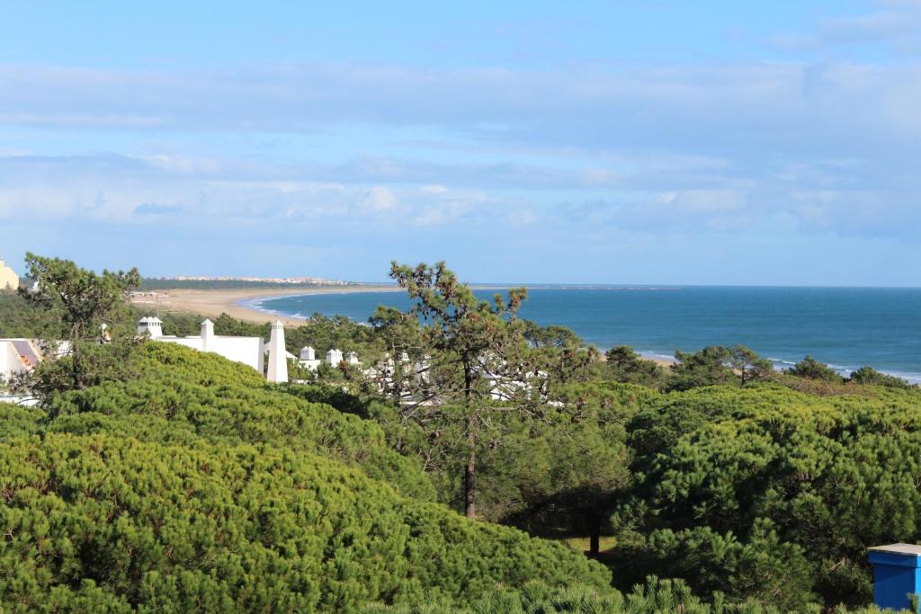 Una vista del océano desde una colina con árboles. en Casa Água & Sal, en Praia Verde