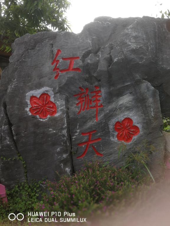 溪頭紅瓣天民宿評價、特色體驗、包棟服務與房價資訊 – 溫馨日式庭園包棟 - 照片 4