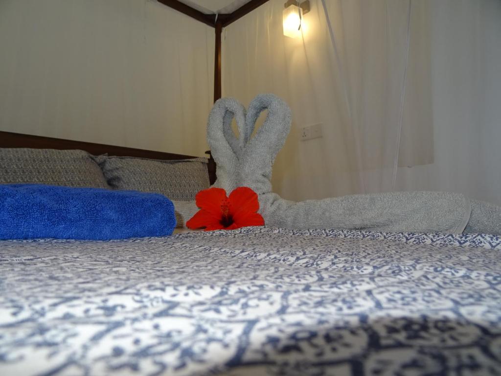 Thambili Cabanas - Queen Room With Garden View
