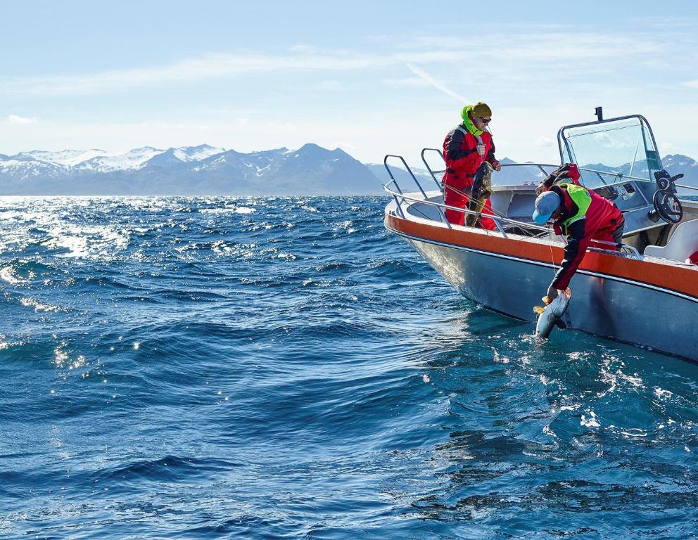 dos personas de pie en un barco en el agua en Northern Light Hotell/Camp Steinfjord en Berg