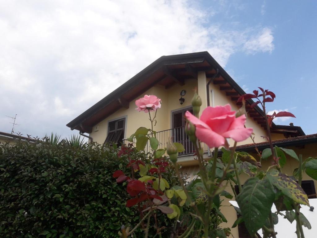 une maison avec des fleurs roses devant elle dans l'établissement Casa Enrica, à Montignoso
