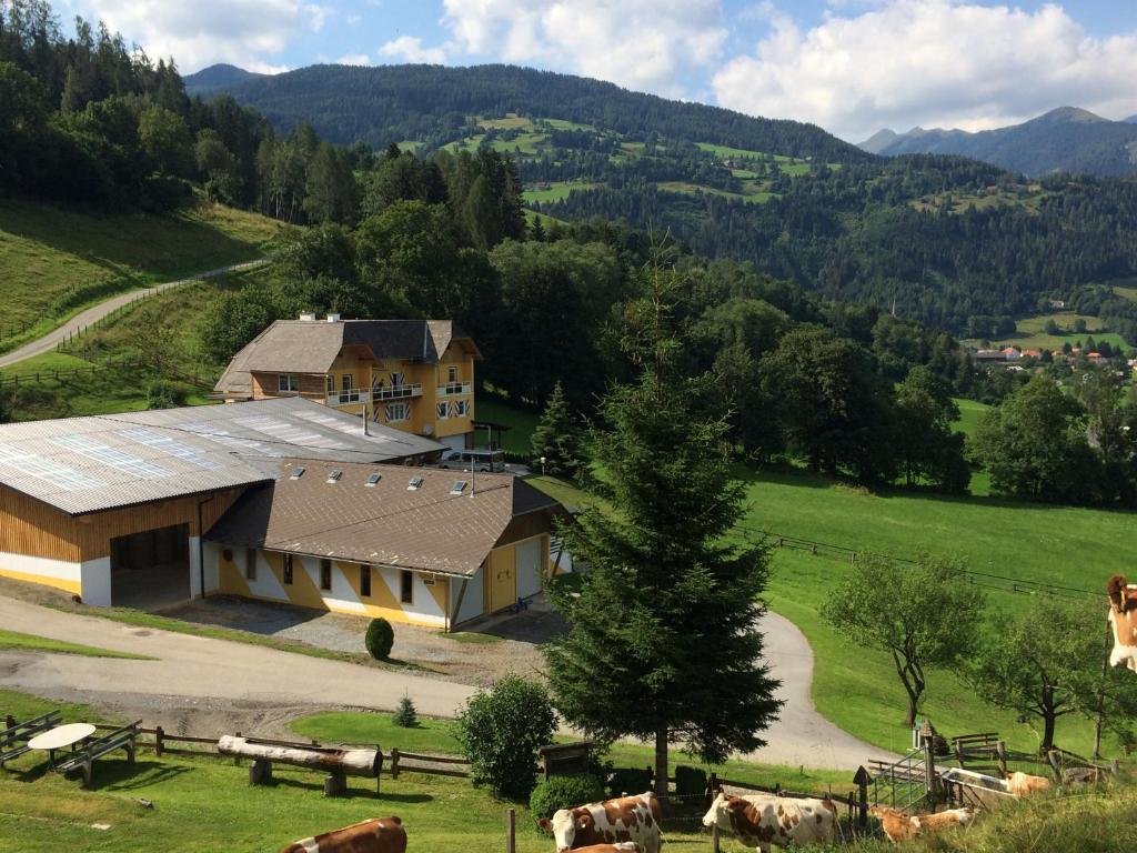 Příroda nedaleko apartmánu