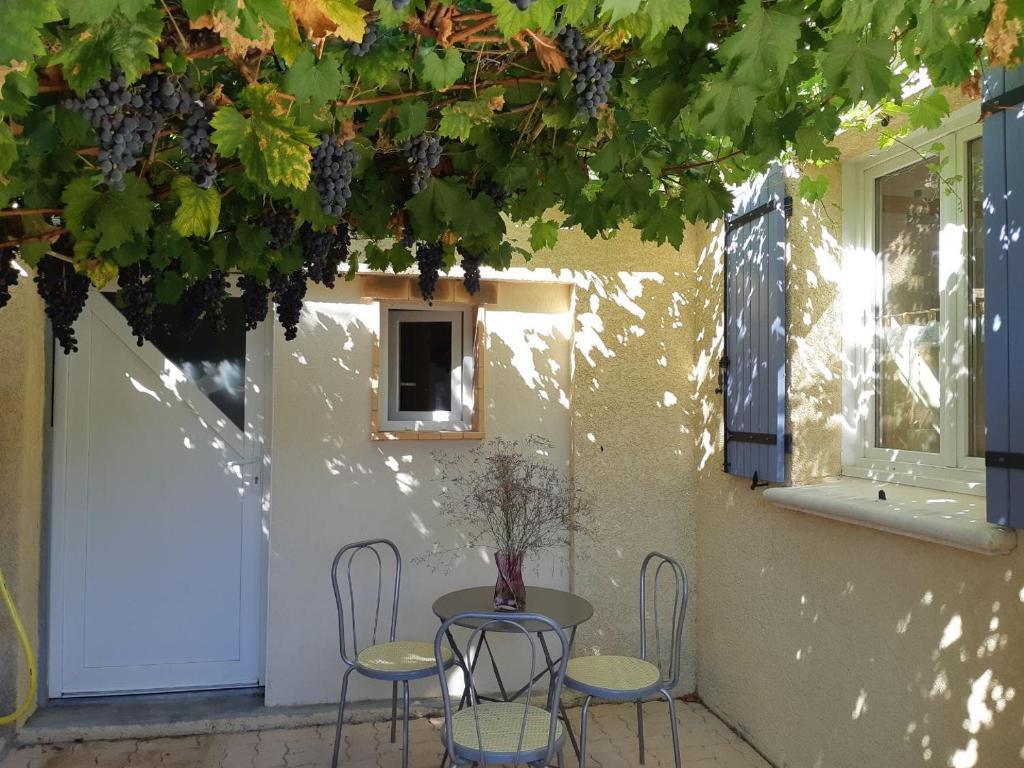 a table and chairs in front of a building with grapes at Studio des Grenadiers in Balaruc-les-Bains