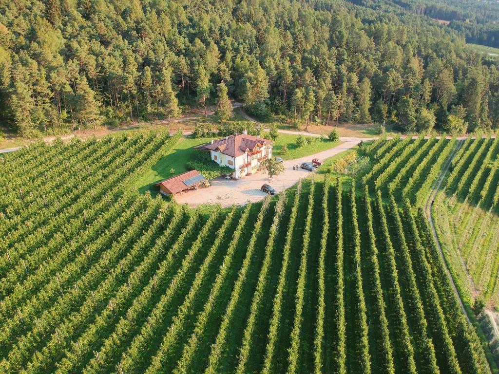 an aerial view of a house in the middle of a vineyard at Agriturismo Maso Tafol in Cloz