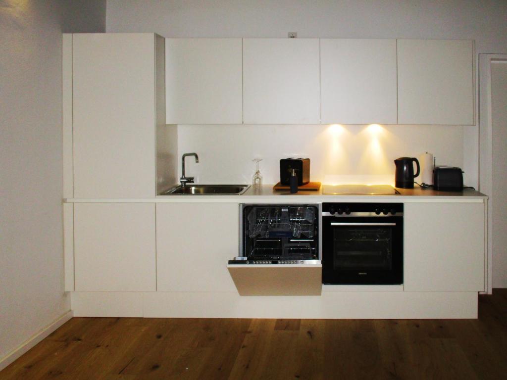 Kuchyň nebo kuchyňský kout v ubytování Renaissance Apartment Marktplatz