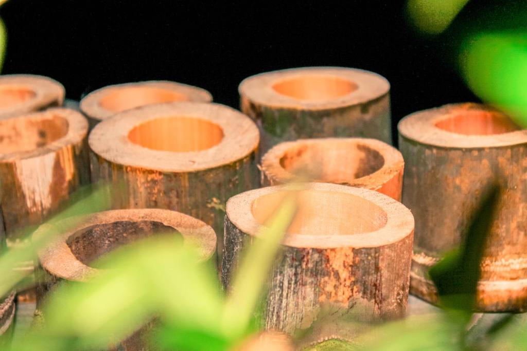 Fotografie z fotogalerie ubytování Sam Ong Lang Homestay v destinaci Phu Quoc