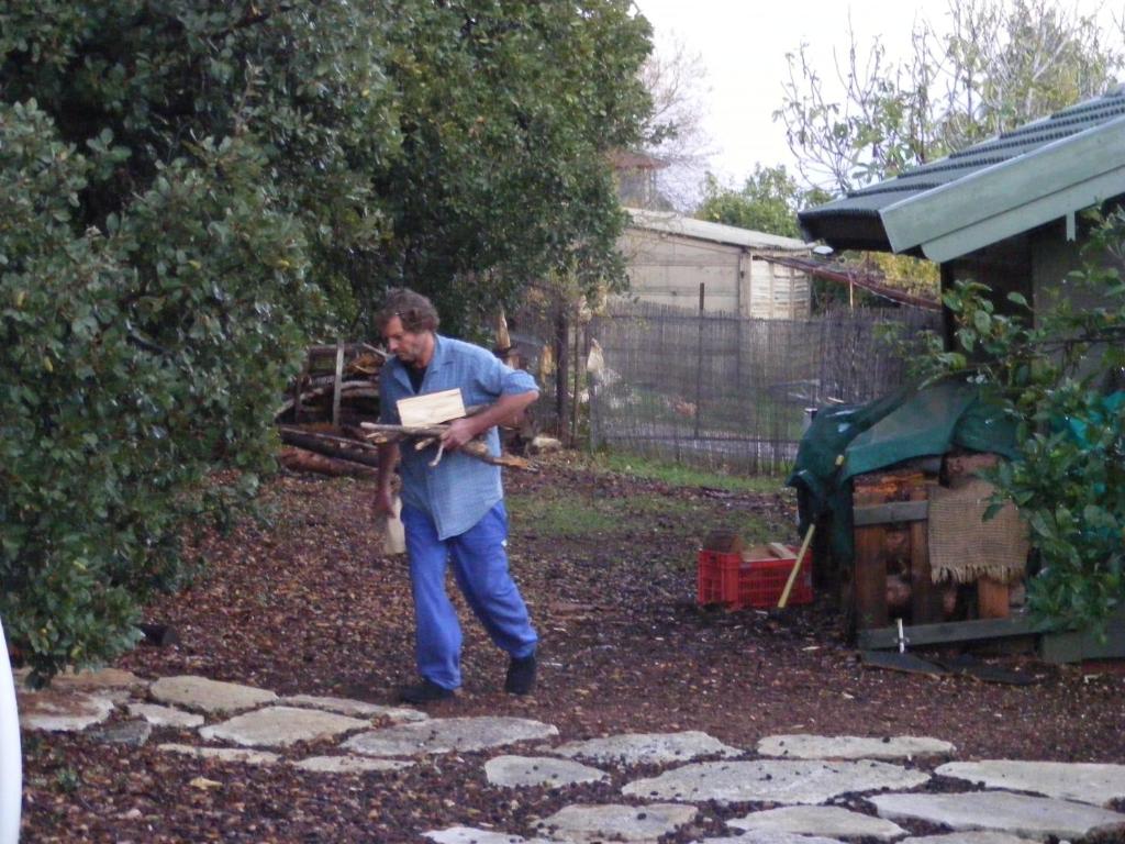 a man standing in a garden looking at a piece of paper at Eretz Hagalil - Land of Galilee in Amirim