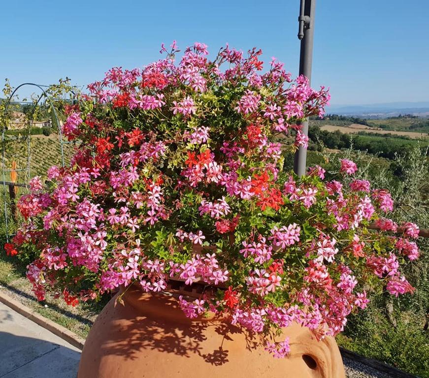 Zahrada ubytování B&B I Coppi