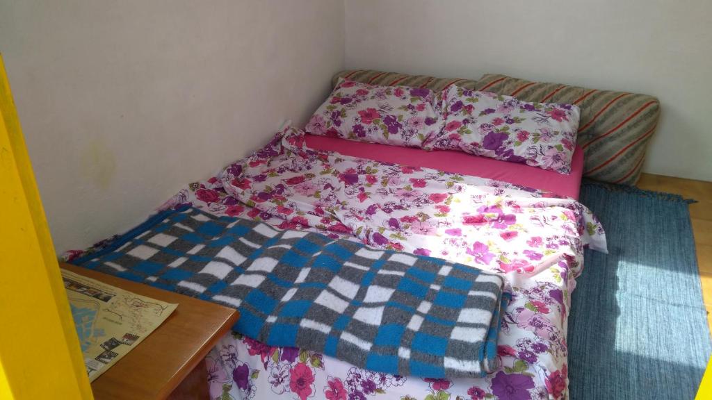  Roc Hostel