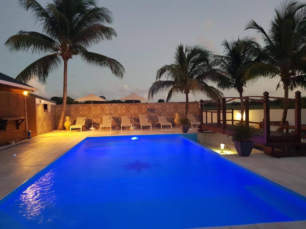 勒莫爾的住宿－Jardin D'eden，一座种植了棕榈树的蓝色游泳池