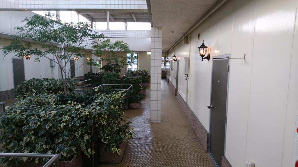 Fotografie z fotogalerie ubytování Hotel Taiheiyo v destinaci Matsushige