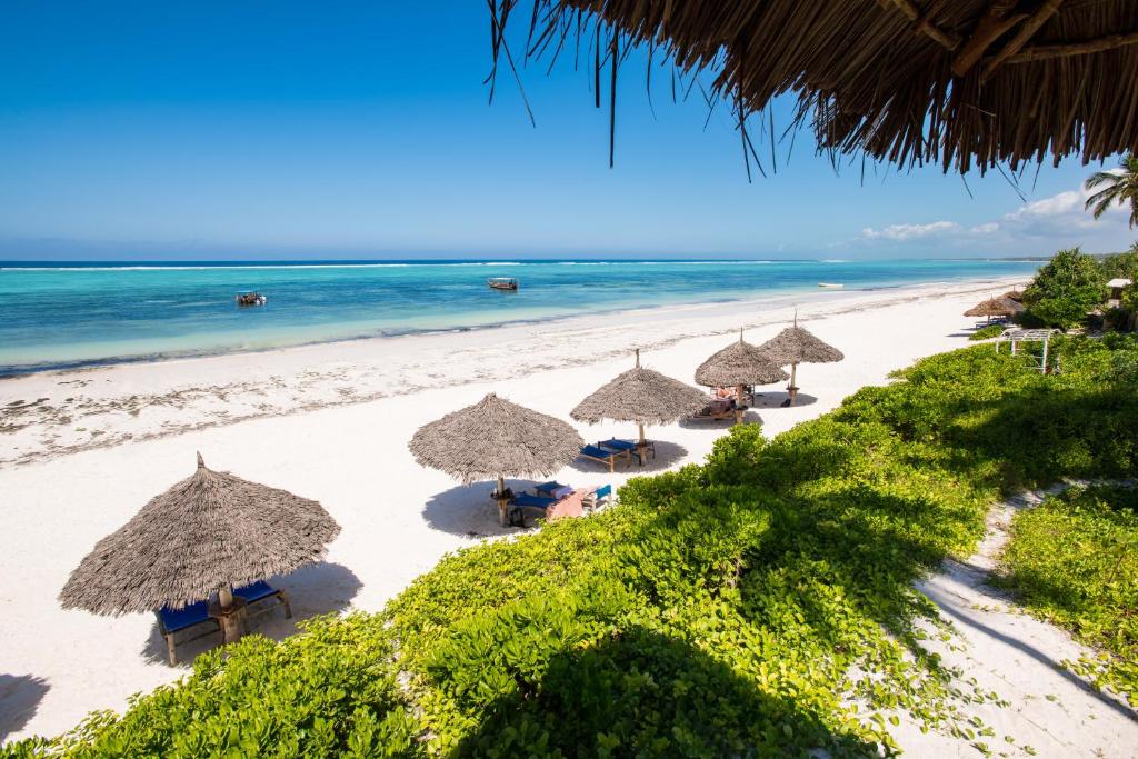 a group of straw umbrellas on a beach at Zanzibar Queen Hotel in Matemwe