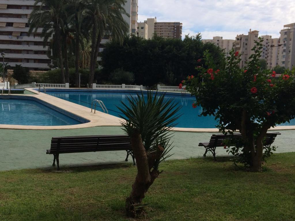 Confort en Playa San Juanの敷地内または近くにあるプール