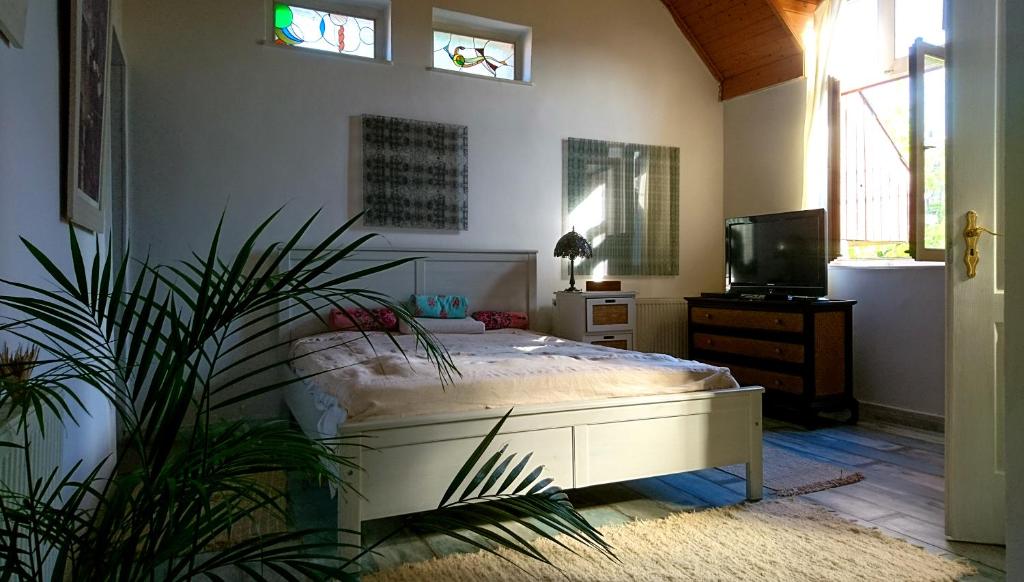 een slaapkamer met een bed en een tv. bij Flaneurstudio in Szentendre