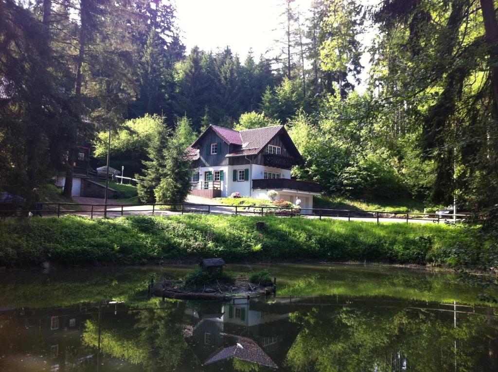 a house with a pond in front of it at Ehrentaler Ferienhaus GbR in Schmalkalden