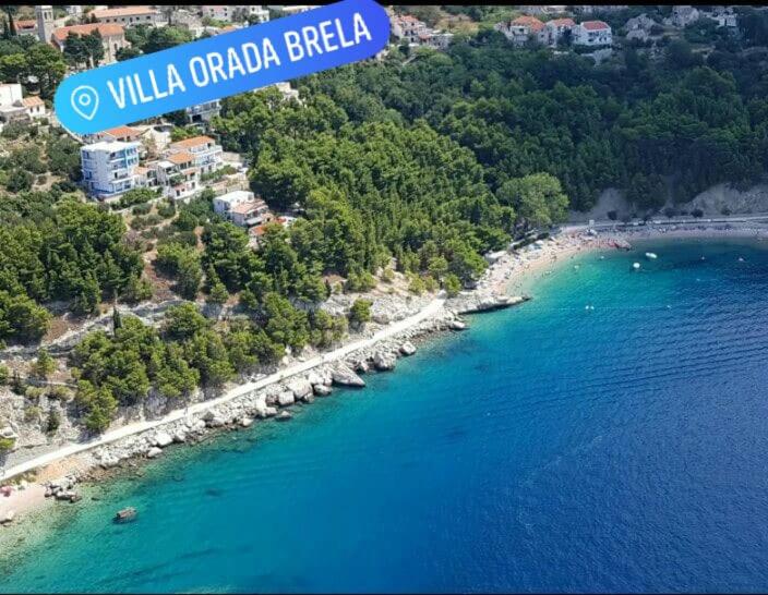 Príroda v okolí apartmánu