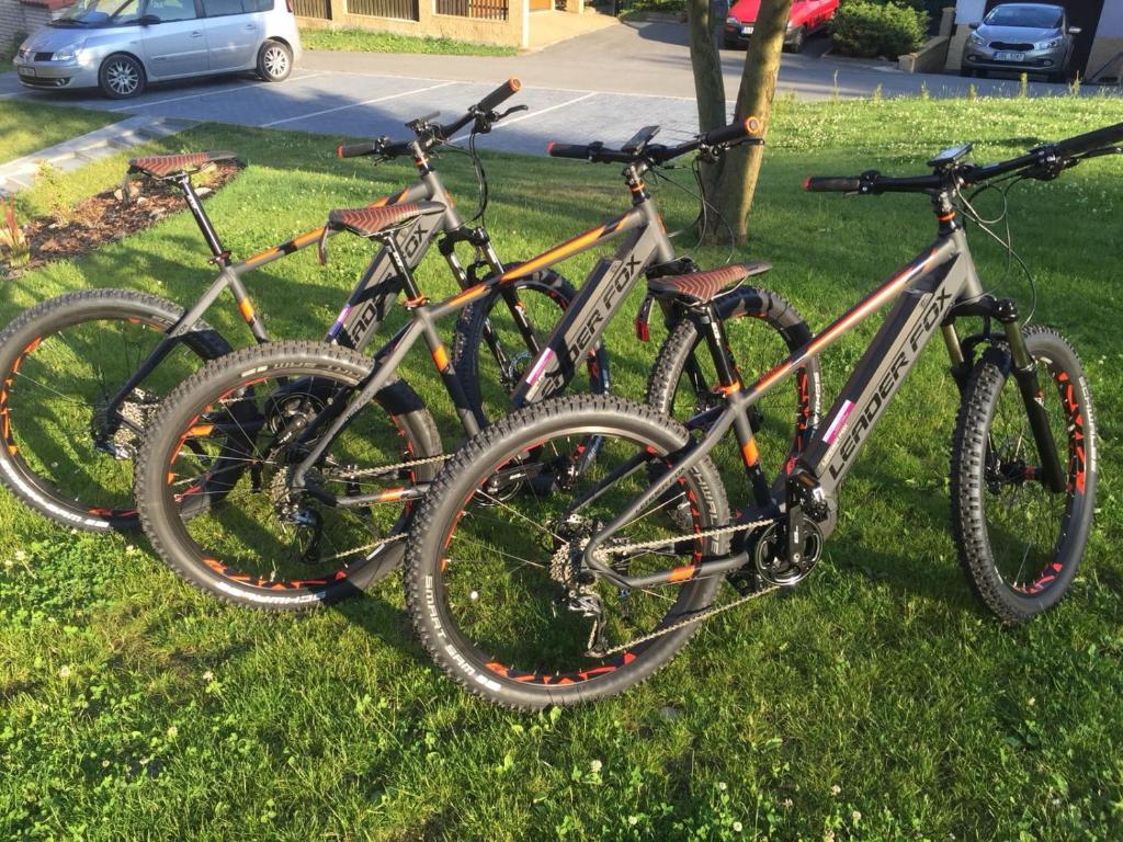 Fietsen bij of in de buurt van Apartmány Polevsko