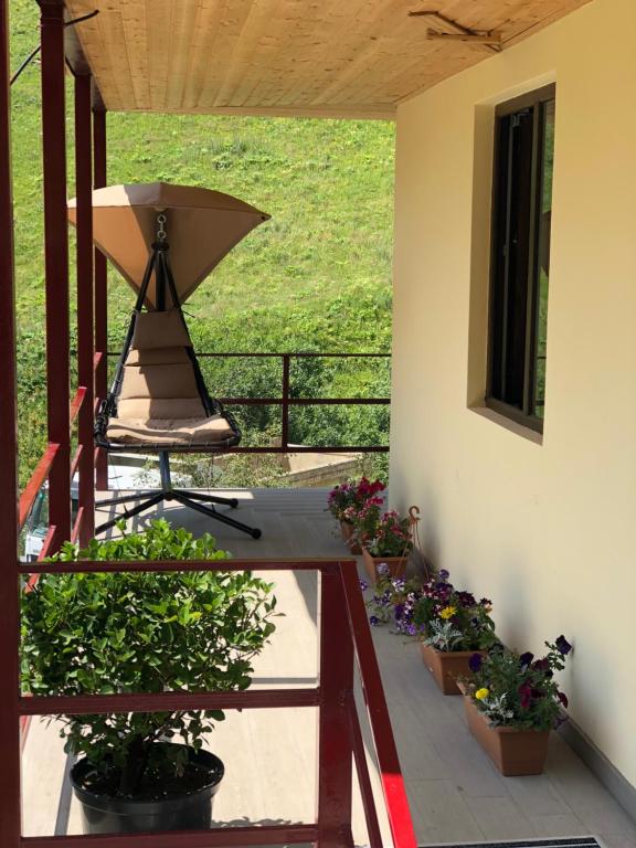 Zahrada ubytování Hotel SHIBI