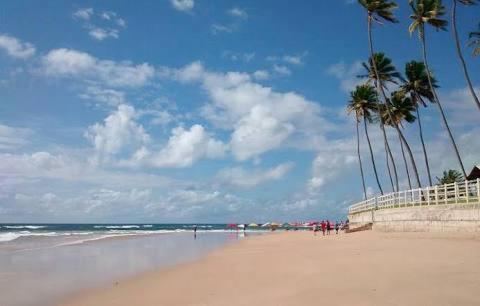  Palm Village - O Melhor de Cupe e Porto