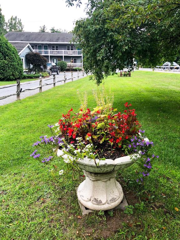 Zahrada ubytování Lyn Aire Motel - Lake George