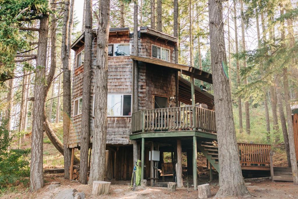 a tree house in the middle of the forest at Tree House Tranquil-A-Tree in White Salmon