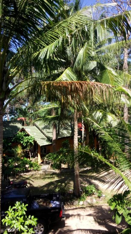 Zahrada ubytování Paradise Palms