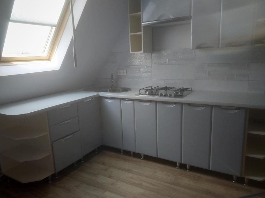 Kuchyň nebo kuchyňský kout v ubytování Грушевського 13