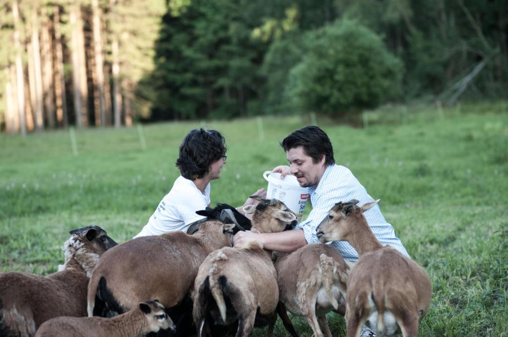 Zvieratá v apartmáne alebo blízkom okolí