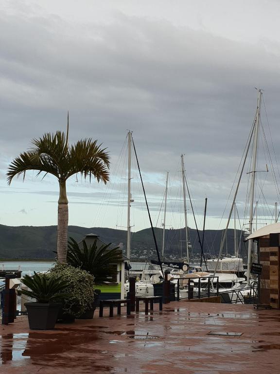 Waterfront - Lagoon Terrace Nr.17 - Image 16