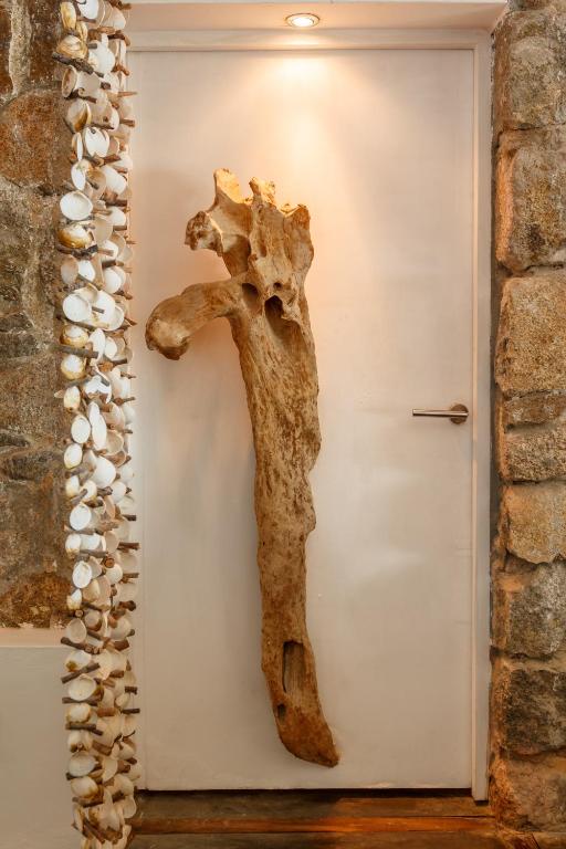 Zvířata v hotelu nebo okolí