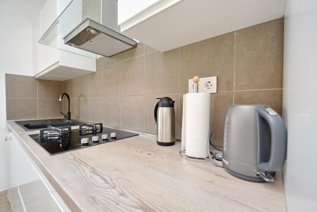 Kuchyňa alebo kuchynka v ubytovaní Apartment Pan