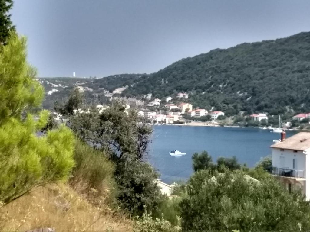 een uitzicht op een meer met een boot in het water bij Apartman Tariba in Supetarska Draga