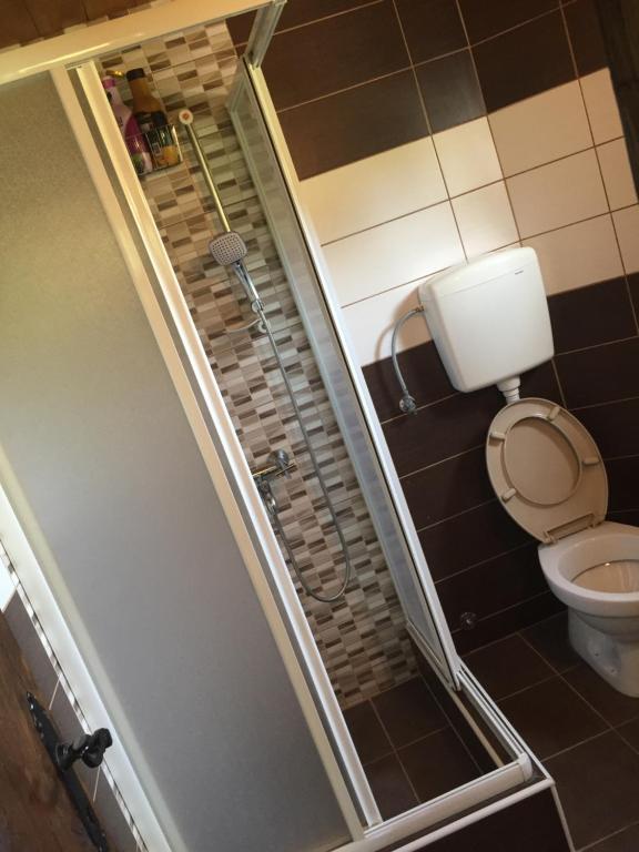 a small bathroom with a toilet and a shower at Vikendica MILA in Kolašin