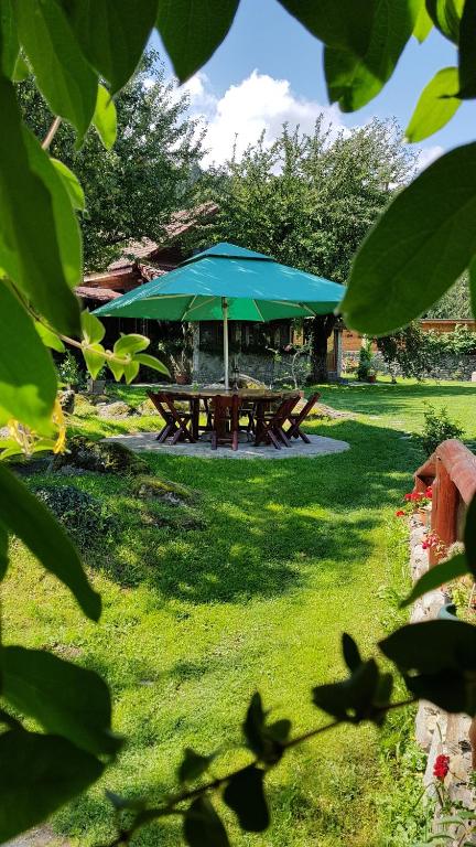 Zahrada ubytování Casa Bunicului