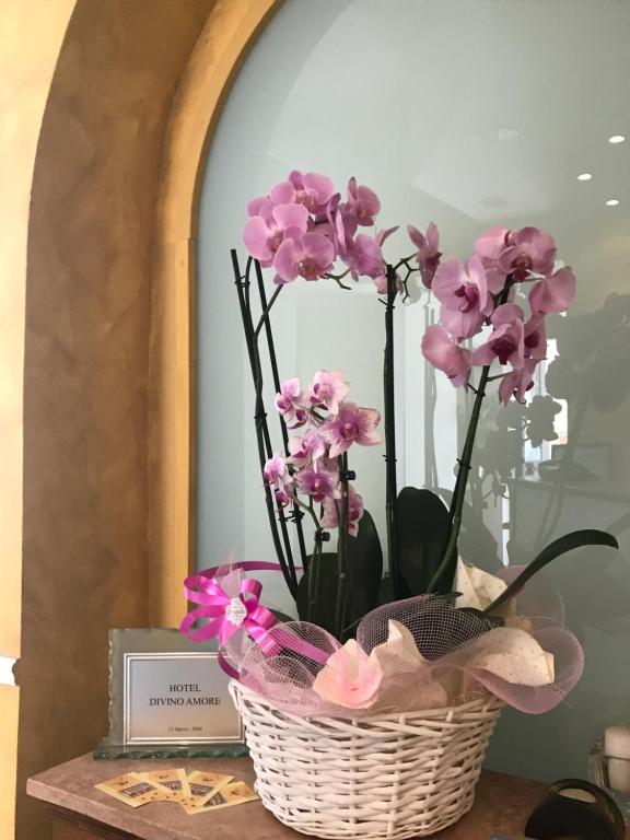 Fotografie z fotogalerie ubytování Hotel divino Amore v destinaci Bagnoregio