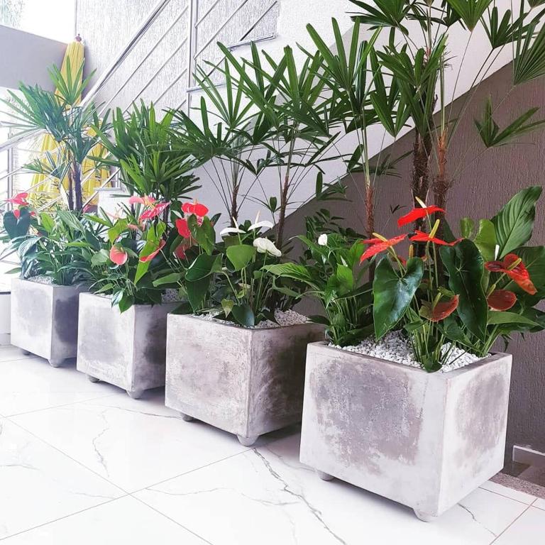 Hotel Villa das Termas Machadinho